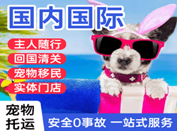 鄂州花湖机场货运国际宠物托运 【国